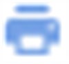 Small Print Icon